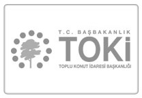 Toki